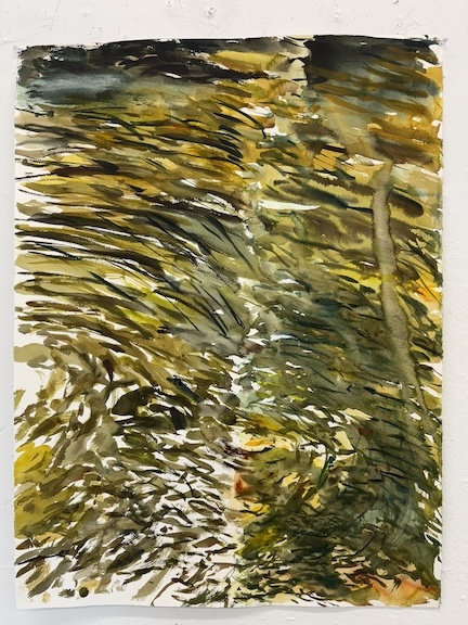 Four Rivers #2